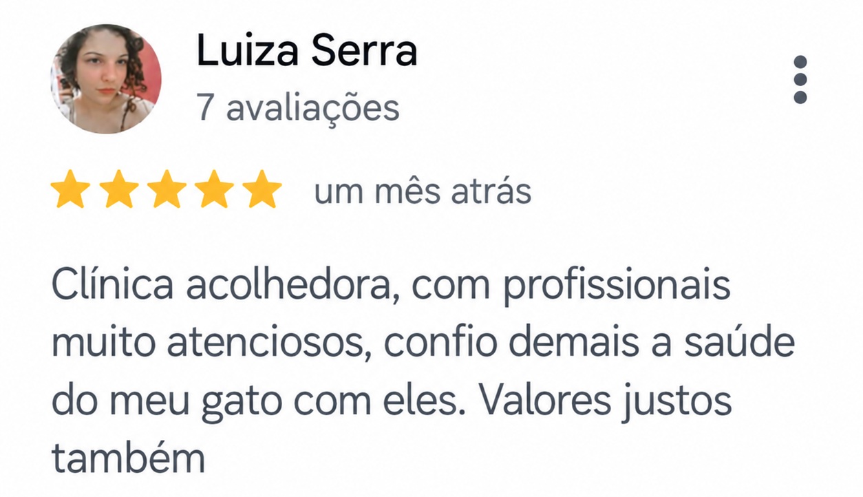 Avaliação de cinco estrelas de Luiza Serra: clínica acolhedora, profissionais atenciosos, confiança no cuidado do seu gato e valores justos.