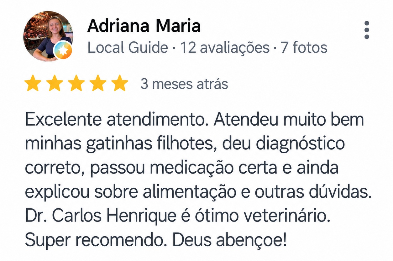 Avaliação de cinco estrelas de Adriana Maria recomendando o Dr. Carlos Henrique pelo atendimento de suas gatinhas filhotes e pelas orientações recebidas.
