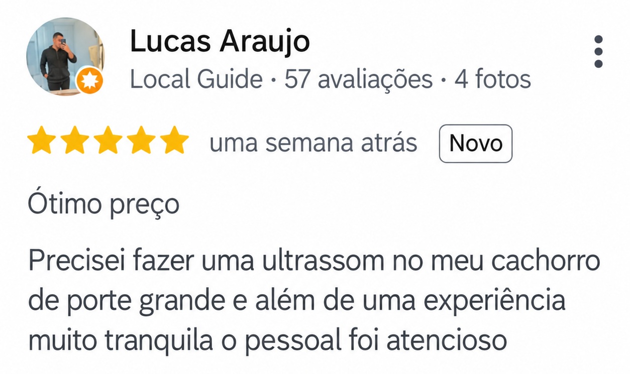 Avaliação de cinco estrelas de Lucas Araujo sobre o preço e a experiência tranquila durante o ultrassom de seu cachorro de porte grande.
