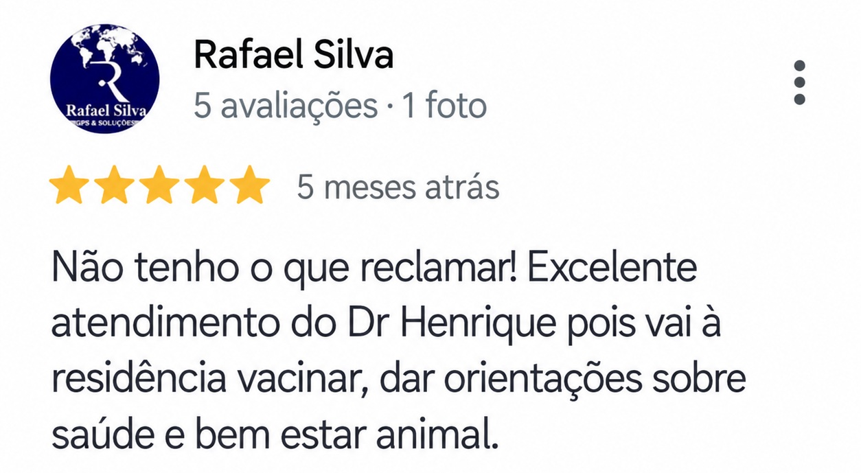 Avaliação de cinco estrelas de Rafael Silva elogiando o atendimento do Dr. Henrique em domicílio, a vacinação e as orientações sobre saúde animal.